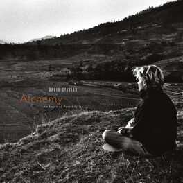 Album cover of Alchemy: An Index Of Possibilities (Remastered 2003)