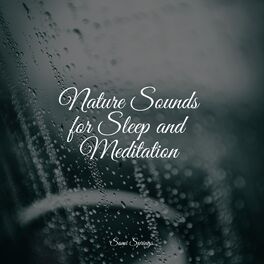 Album cover of Nature Sounds for Sleep and Meditation