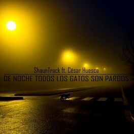 Album cover of De Noche Todos Los Gatos Son Pardos (feat. Cesar Huesca)