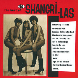 Album cover of The Best Of The Shangri-Las
