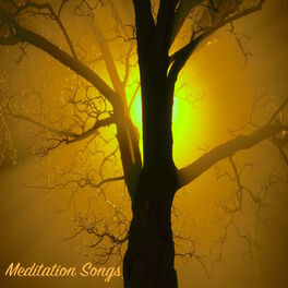 Album cover of Meditation Songs for Relaxing Moments at Spa - Sounds for Body Massage, Intense Relaxation, Yoga Lessons