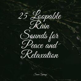 Album cover of 25 Loopable Rain Sounds for Peace and Relaxation