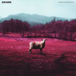 Album cover of Desire