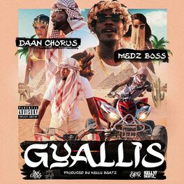 Album cover of Gyallis