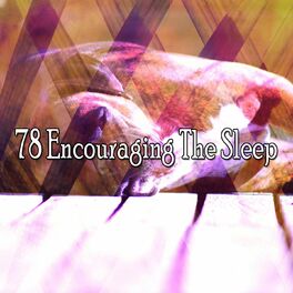 Album cover of 78 Encouraging the Sleep