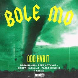 Album cover of Bole Mo