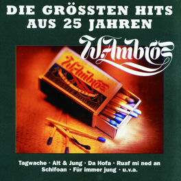 Album cover of Die Grössten Hits Aus 25 Jahren
