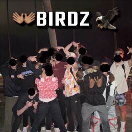 Album cover of Birdz Anthem