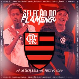 Album cover of Seleção do Flamengo