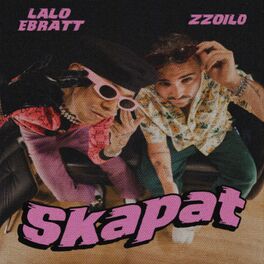 Album cover of Skapat