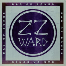 Album cover of Bag of Bones (Fan Version)