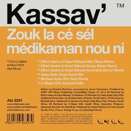 Album cover of Zouk la cé sél médikaman nou ni (Remixes)