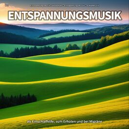 Album cover of #01 Entspannungsmusik als Einschlafhilfe, zum Erholen und bei Migräne