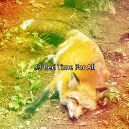 Album cover of 43 Bed Time For All