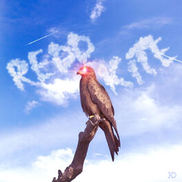 Album cover of Redd Kite