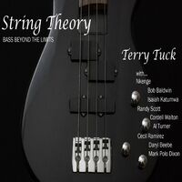 Terry Tuck String Theory Bass Beyond The Limits Lyrics And Songs Deezer