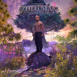 Album cover of Zulu Man