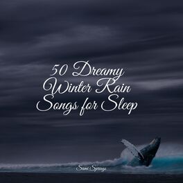 Album cover of 50 Dreamy Winter Rain Songs for Sleep