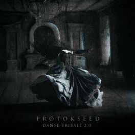 Album cover of Danse Tribale 2.0