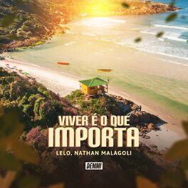 Album cover of Viver É o Que Importa