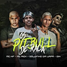 Album cover of Os Pitbull de Raça