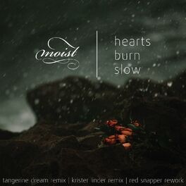 Album cover of Hearts Burn Slow Remix EP