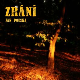 Album cover of Zrání