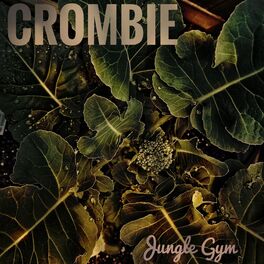 Album cover of Jungle Gym