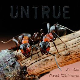 Album cover of Ants and Others