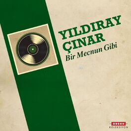 Album cover of Bir Mecnun Gibi