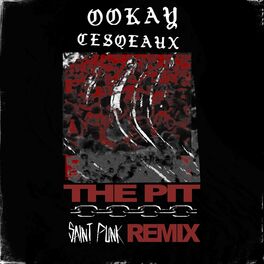 Album cover of The Pit (Saint Punk Remix)