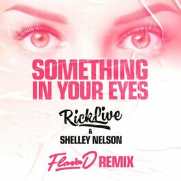 Album cover of Something In Your Eyes (Flava D Remix)