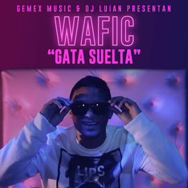 Album cover of Gata Suelta