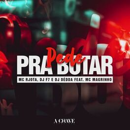 Album cover of Pede pra Botar