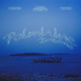 Album cover of Palm Wine Dreamz