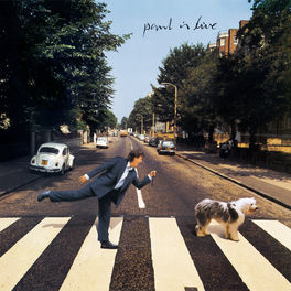 Album cover of Paul Is Live