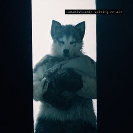 Album cover of Walking on Air