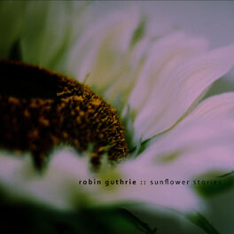 Album cover of Sunflower Stories