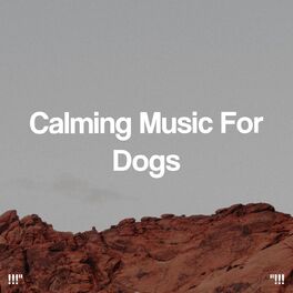 Album cover of !!!