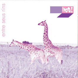 Album cover of Entre Seus Rins
