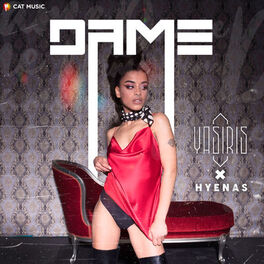 Album picture of Dame