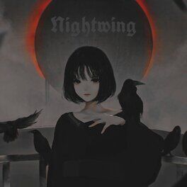 Album cover of Nightwing