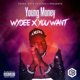 Album cover of Wydee X You Want
