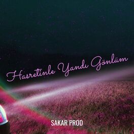 Album cover of Hasretinle Yandı Gönlüm