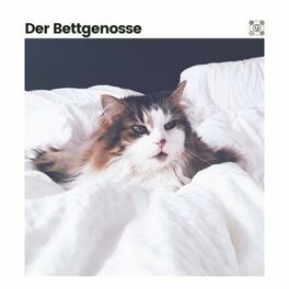 Album cover of Der Bettgenosse