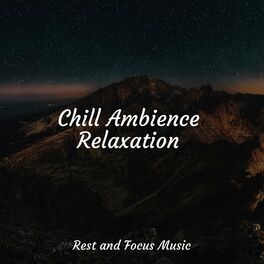 Album cover of Chill Ambience Relaxation