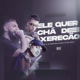 Album cover of Ele Quer Chá de Xerecão