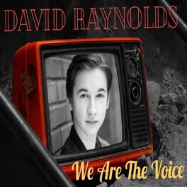 Album cover of We Are the Voice