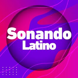 Album cover of Sonando en Latino
