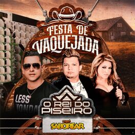 Album cover of Festa de Vaquejada
